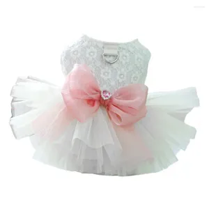 Robe de compagnie de vêtements pour chiens avec jupe charmante costume adorable costume gonfy dentelle en dentelle à la broderie florale pour petit