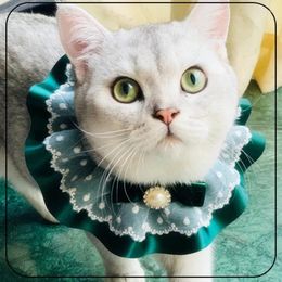 Habitant pour animaux de compagnie Toile bave de Noël Bib Bib Tache époque vintage Smooth Satin Ribbon Accessory Cat Party Collar