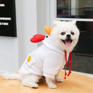 Vêtements de chien vêtements de mode pour animaux de compagnie chat décoration exotique robe forme dessin animé animal chaud pour petits chiens fille