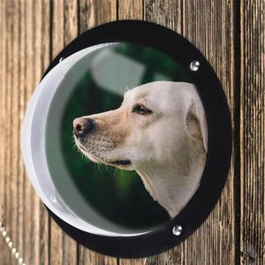 Vitre bulle de clôture pour animaux de compagnie pour chiens