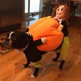 Vêtements pour chiens vêtements pour animaux de compagnie tenue intéressante confortable élégant drôle produits d'halloween Costumes pour le Festival