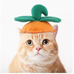 Prenda de perro Pet Funny Headgear Cat Halloween Supplies de calabaza de hoja verde