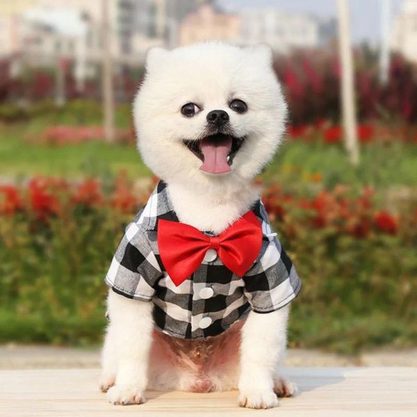 Vêtements pour chiens messieurs gentleman maillot plaid vêtements décontractés