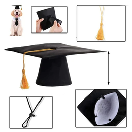 Habitant pour animaux de compagnie du chapeau de graduation des parties d'anniversaire