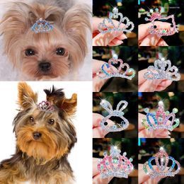 Ropa para perros Pet Peedpin Crowns Campo de hadas Circio Cristal Tiaras Temporito de tocas Cat Princess Birthday Party Jewellry