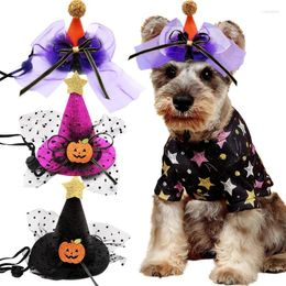 Appareils pour chiens Pet Halloween Party Witch Hat Fashion Cat Cosplay Wizard Puppy Dress Up StageProps Headwear Dropship ajusté