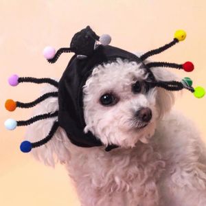 Appareils pour chiens chapeau animal de compagnie ANTES CARIÈRE COMORFUR POMMES COLORF