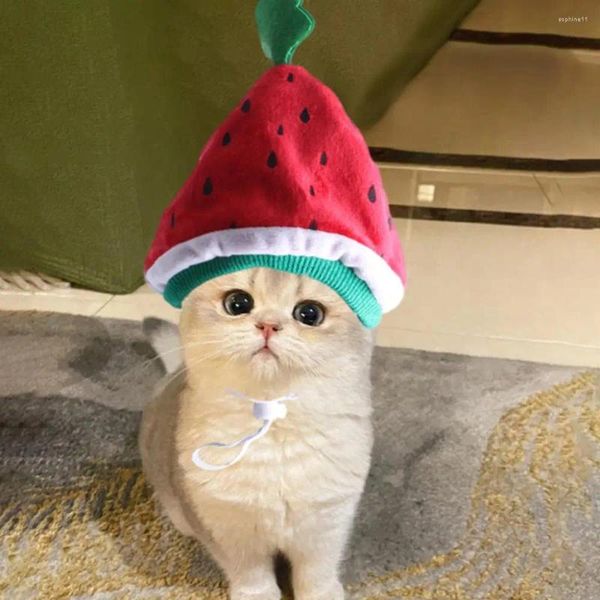 Appareils pour chiens chapeau de compagnie mignon de pastèque amusant Cat en forme de pastèque élégant confortable fête de poche accessoire