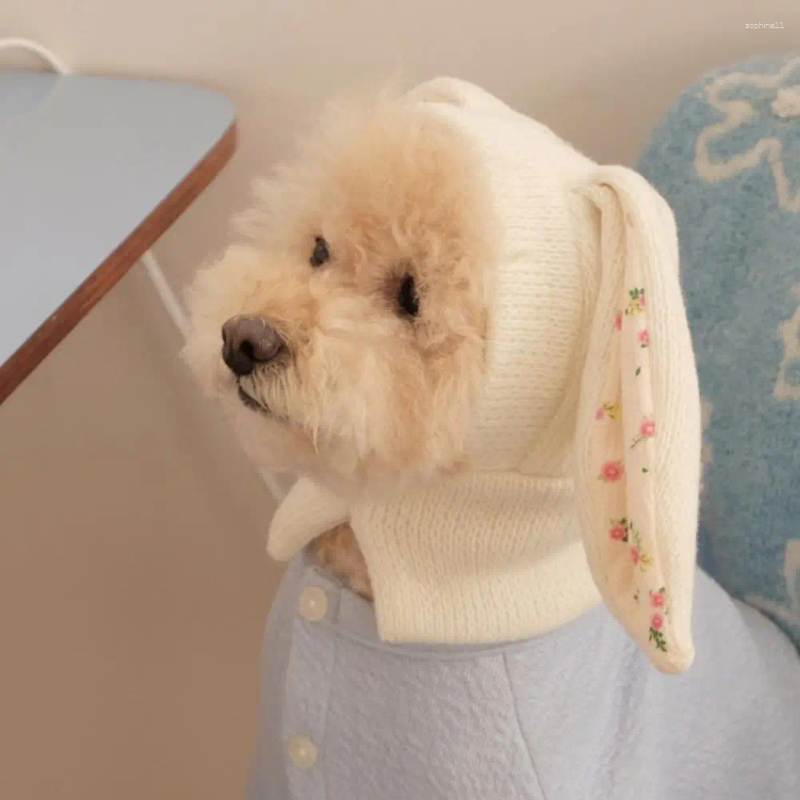 Hundkläder husdjur för katter hundar bedårande öron stickade bekväma vinterhuvudväder vindtät