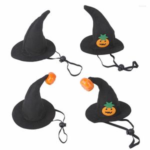 Hondenkleding huisdier hoed grappige pompoen heks cap chihuahua cosplay Halloween kostuum voor kleine kitten puppy hoofdtooi accessoires