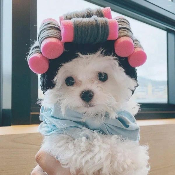 Vêtements pour chiens Chapeau pour animaux de compagnie Couvre-chef Adorable Chat Attache Bande Conception Légère Fête Mignon Dessin Animé Cross-dressing