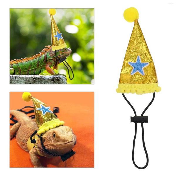 Appareils pour chiens chapeau de compagnie LIZARD Costume de jouet de Noël anniversaire anniversaire pour femmes Guinée