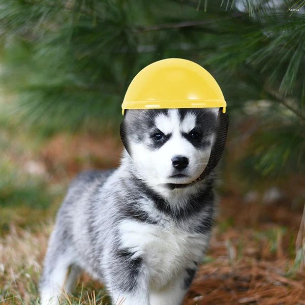 Ropa para perros Sombrero para mascotas Protector Cachorro Juguete Divertido Plástico Seguridad al aire libre Fiesta Novedad Duro