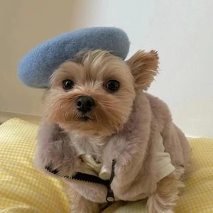 Appareils pour chiens chapeau de compagnie coloride en laine de poulaille