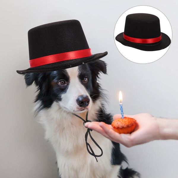 Vêtements pour chiens chapeau pour animaux de compagnie résistant à l'usure décoratif Cosplay Costume chat melon jeu de rôle accessoires de fête adorables