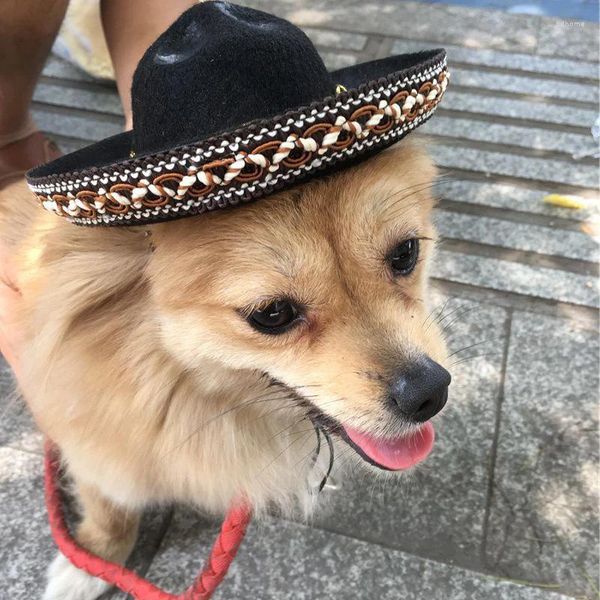 Appareils pour chiens chapeaux de compagnie Headgear Mexican Style Sun Beach Party Birthday Birthday