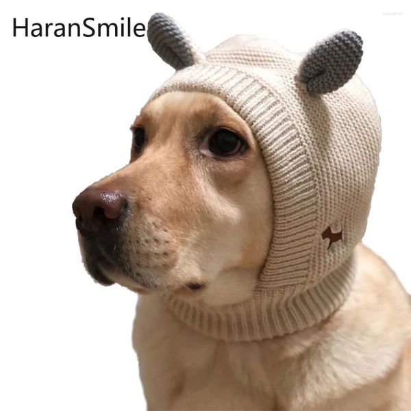 Couvre-tête de animal de compagnie pour chiens automne et oreille hiver