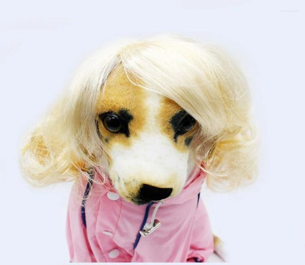 Vêtements pour chiens coiffure de compagnie de coiffure mignonne coiffure bouclée en peluche en peluche petite et moyenne