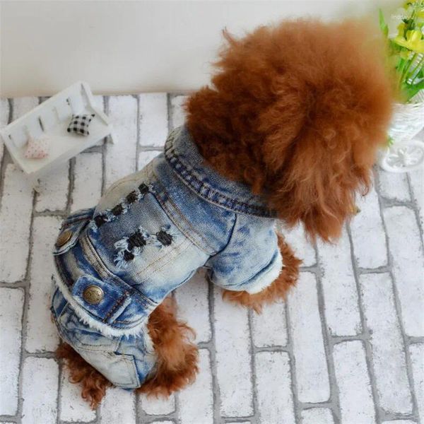 Ropa de perros mascota encapuchada de jeans de cuatro patas agujeros ropa con gorra de bolsillo jean teddy bichon ropa unida vaquera