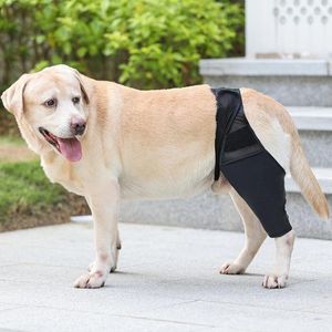 Vêtements pour chiens blessures pour animaux de compagnie genouillères fixes soutien chat attelle leggings ensemble protecteur pieds couverture jambe enveloppement goutte 2023
