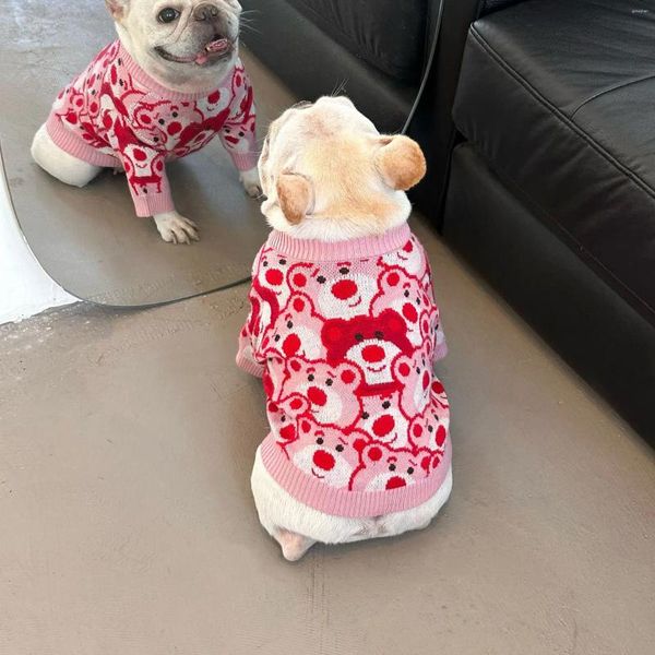 Vêtements pour chiens animaux de compagnie Internet des vêtements de célébrités chats fadou schnauzer chatons fraises ours de style hivernal pull