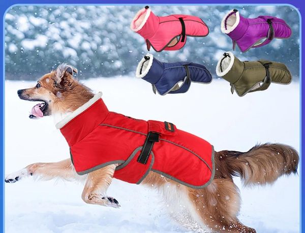 Vêtements pour chiens Veste pour animaux de compagnie Vêtements d'hiver Chaud Grand manteau Chiot Vêtements Gilet imperméable pour chiens de taille moyenne Golden Retriever