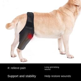 Vêtements pour chiens, attelle d'articulation pour animaux de compagnie, fracture, handicap, genou fixe, sangle d'assistance, support de protection de petite et moyenne taille