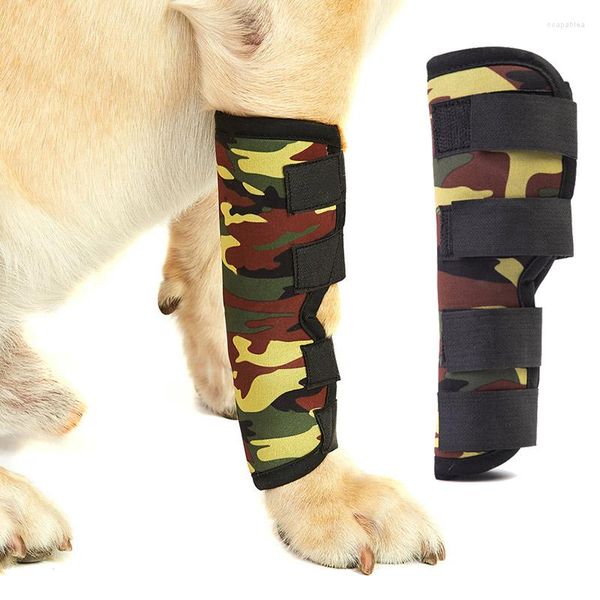 Vêtements pour chiens, genouillère pour animaux de compagnie, attelle de soutien pour les blessures à la jambe, récupération des articulations du jarret, protection des jambes respirante, accessoire de santé