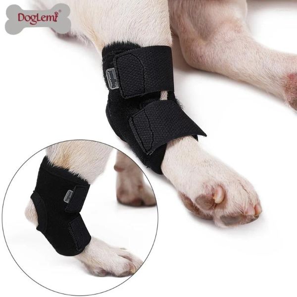 Appareils pour chiens Taxez les genoux Soutien de l'attelle pour les jambes enveloppement de la joint enveloppe de la blessure Blessure Arthritis Protecteur protège