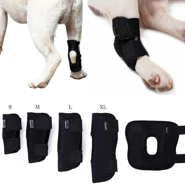 Appareils pour chiens Les tampons de genoux pour animaux de compagnie Soutien de l'attelle pour les jambes articulations articularines Protector protège les outils de soins de soulagement de la douleur du bandage