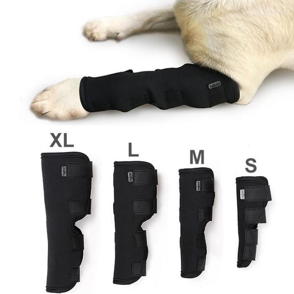 Genouillères pour chien vêtements pour animaux de compagnie soutien orthèse pour blessure à la jambe récupérer articulation du jarret respirant jambes protecteur santé