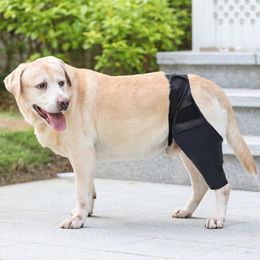 Vêtements pour chiens Genouillères pour animaux de compagnie Support Brace Protecteur de jambe Protection contre les blessures Récupérer des fournitures de chiot respirantes