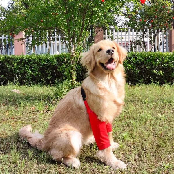 Vêtements de chien Pet à genou protecteur coude anti-cen