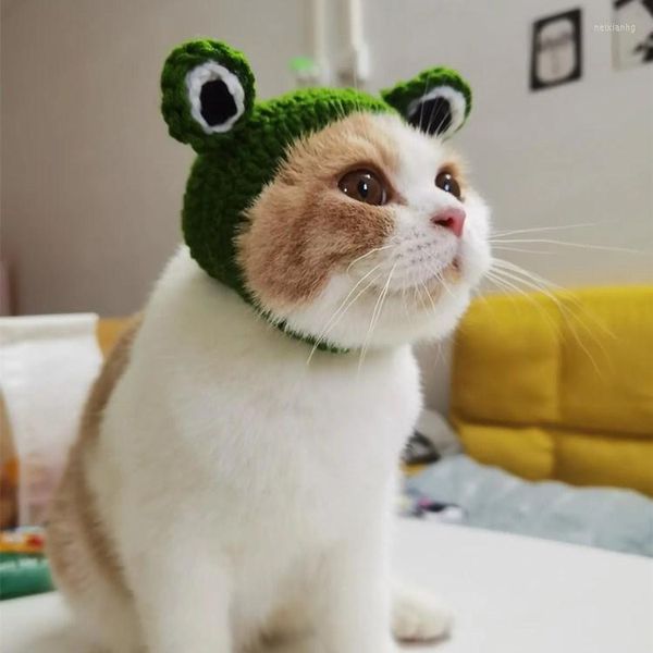 Chien vêtements Pet tricoté chapeau créatif à la main bricolage grenouille-forme pour chat chaud respirant casquette cadeaux de noël