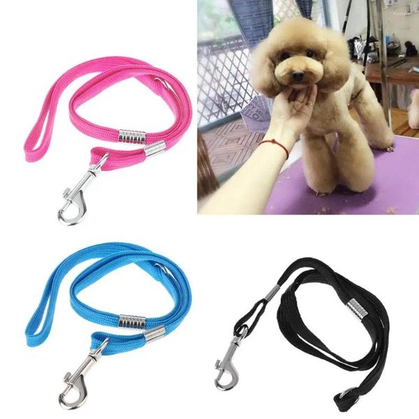 Ropa para perros Correa para mascotas Nylon Cat Grooming Loop Cable Cuerda Correas para baño de belleza