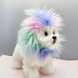 Appareils de chien Pet Lion Hat Shape Cosplay Cat Cat Wigs for Halloween Christmas Parties Réglable Small Salon
