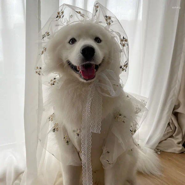 Ropa para perros Mascota Mediano Perros grandes Primavera Ropa de verano Traje de boda fino Vestido Satsuma Sombrero de pelo dorado