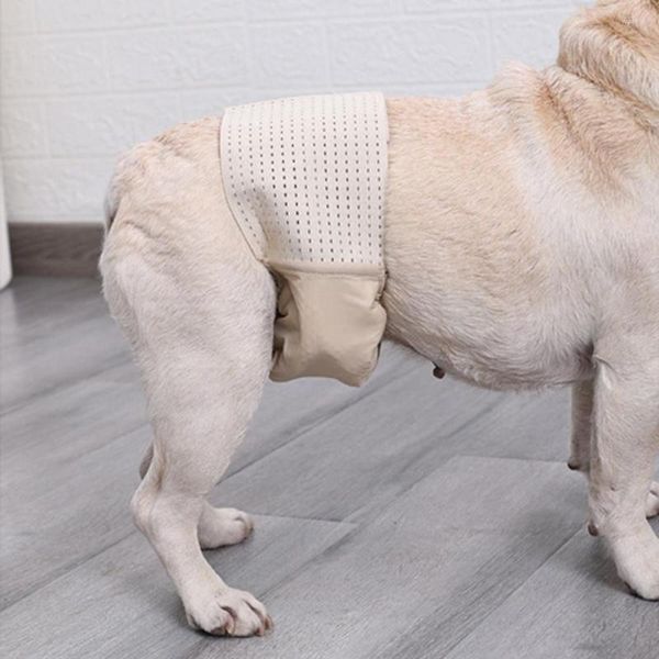 Ropa para perros Pantalones menstruales para mascotas Tela Cinturón elástico Poliéster Cómodo Pañal femenino Prevención de infecciones