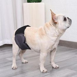 Appareils pour chiens Pet menstruel Pantalon Fixer Tape Femme Femme Femme Ropa para Perros