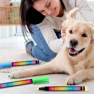 Appareils pour chiens Pet Nail Design Pen Polish Polish Brush Art Set 12 Couleurs Séchure rapide pour chiot Cat DIY Manucure Small
