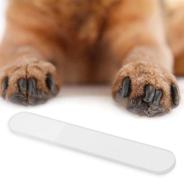 Accesorios de archivos de uñas para mascotas para perros para accesorios portátiles de adorno de vidrio de nano de gato