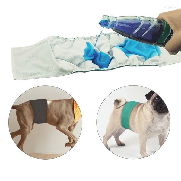 Vêtements pour chiens Pantalons pour animaux de compagnie Couches hygiéniques menstruelles simples pour animaux de compagnie Pantalons de bande de ventre physiologiques réutilisables mâles