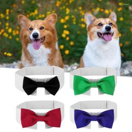 Ropa de perro Correa de cuello para mascota cinta adhesiva Coloque círculo Bownot Circle