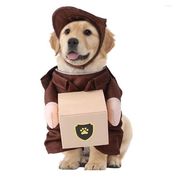 Trajes de mascotas de ropa para perros rol de juego