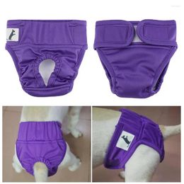 Vêtements pour chiens Pantalons physiologiques pour animaux de compagnie Couche anti-fuite confortable pour les périodes menstruelles Incontinence Potty Training Bande de fixation