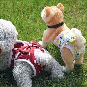 Hondenkleding Fysiologische broeken voor huisdieren Menstruatie Prinsessenslipjes Luier Ademend Strikkleding Elasticiteit S-XL