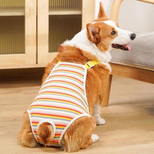 Ropa para perros pantalones fisiológicos abertura de cola