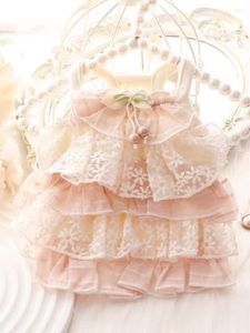 Robe de mariée princesse pour animaux de compagnie Pénite multicouche pour une petite jupe de fête de chat