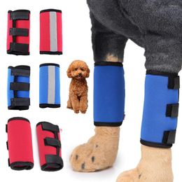 Appareils pour chiens Produits pour animaux de compagnie Tafonnes de genou de la jambe de la jambe de jarret de pavé enveloppe de couverture de protection des blessures guérison