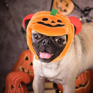 Appareils pour chiens Pet Pumpkin Cat Vaignement Cat Decoration Decoration Cassorative DÉCORABLE ADORABLE